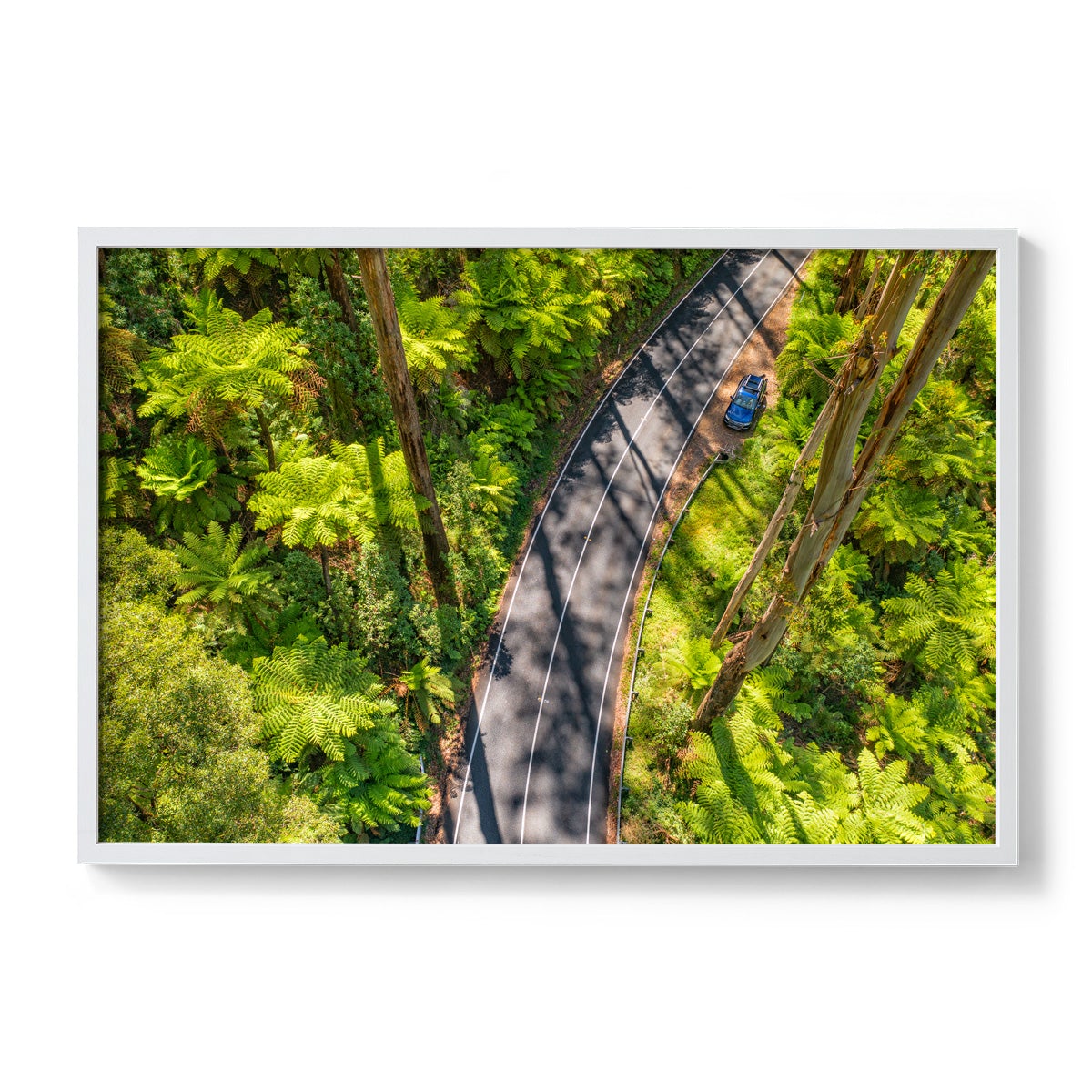 Black Spur Road #5 - Framed Print