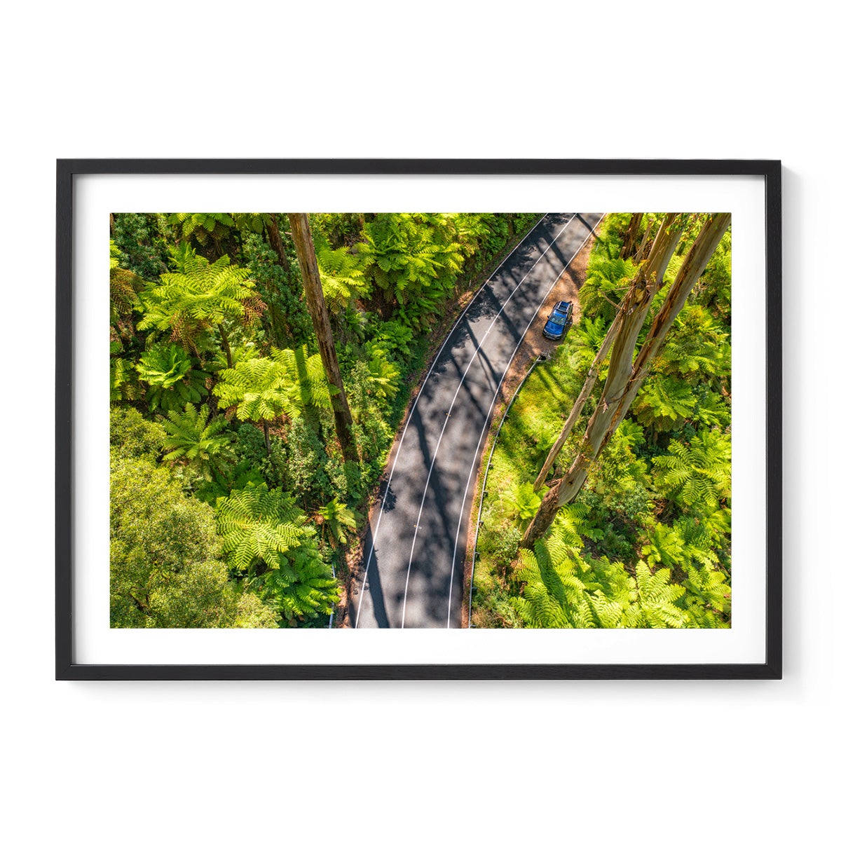 Black Spur Road #5 - Framed Print