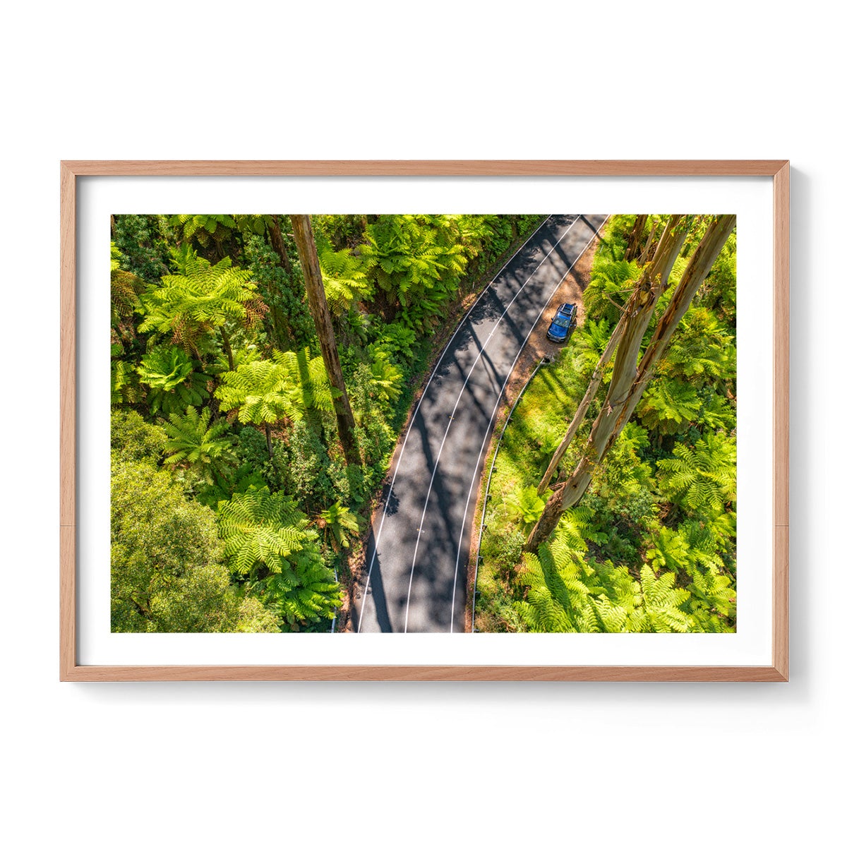 Black Spur Road #5 - Framed Print