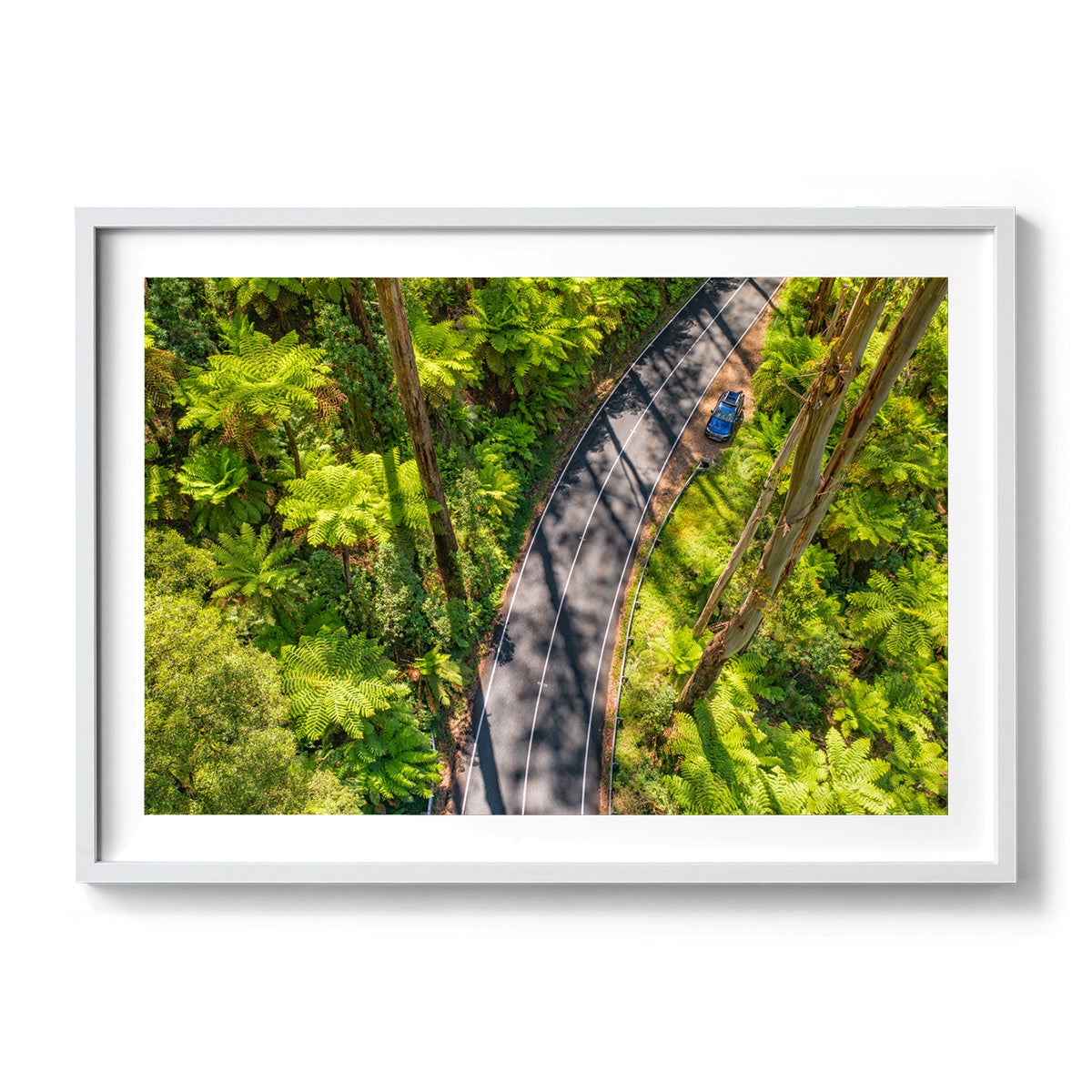 Black Spur Road #5 - Framed Print