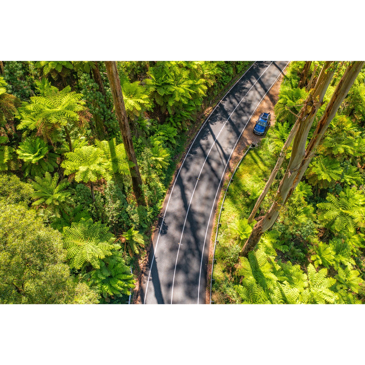 Black Spur Road #5 - Acrylic Print