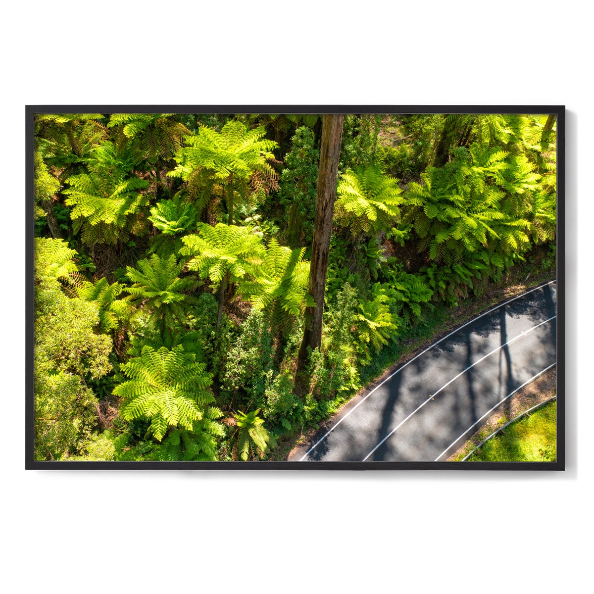 Black Spur Road #2 - Framed Print