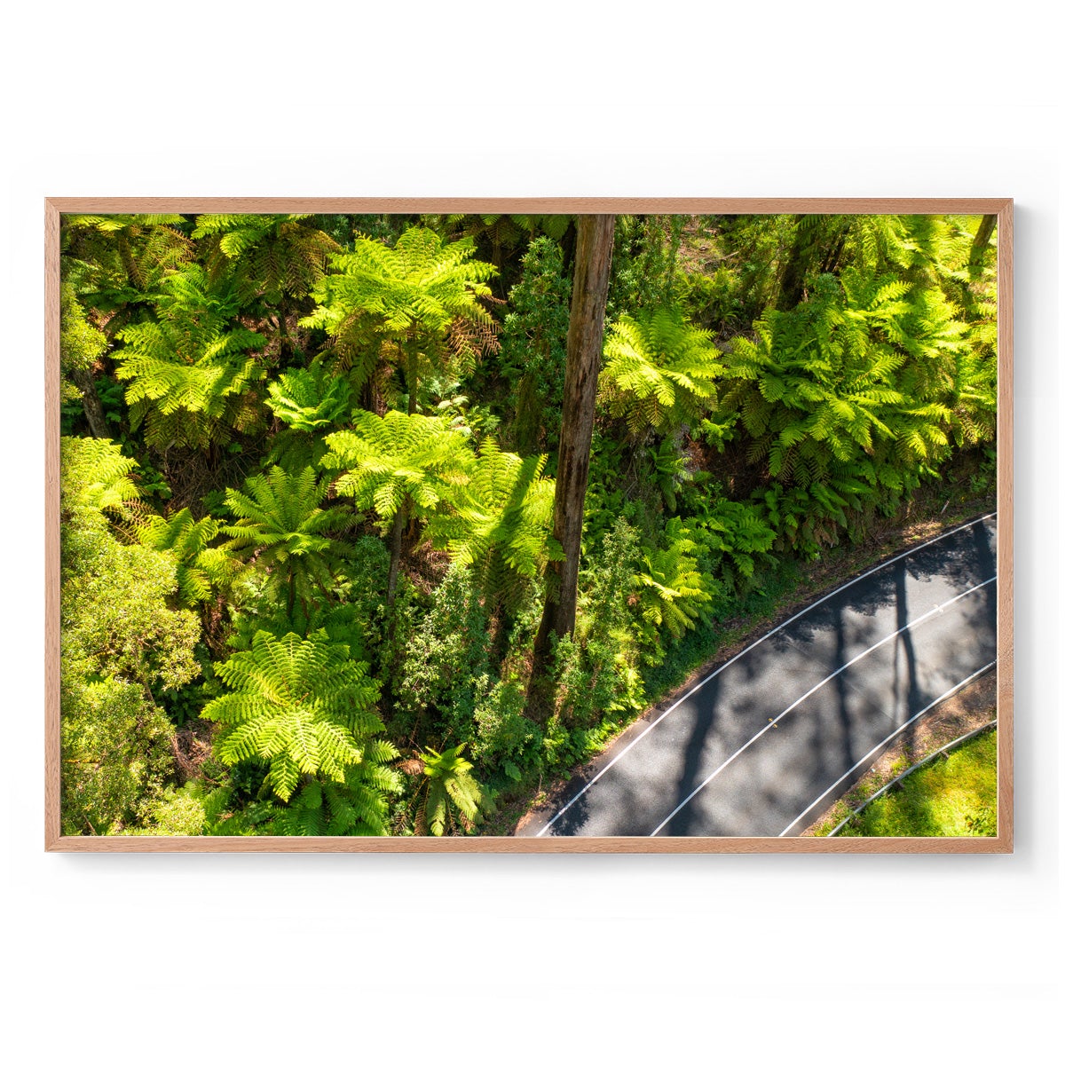 Black Spur Road #2 - Framed Print