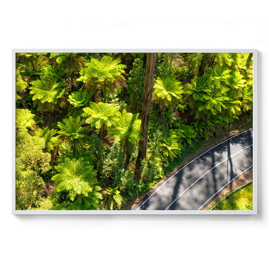 Black Spur Road #2 - Framed Print