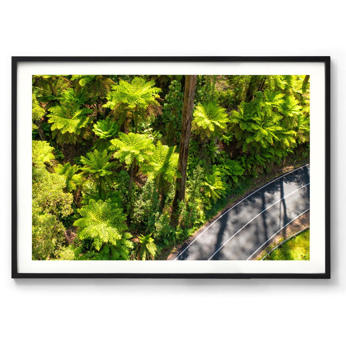 Black Spur Road #2 - Framed Print