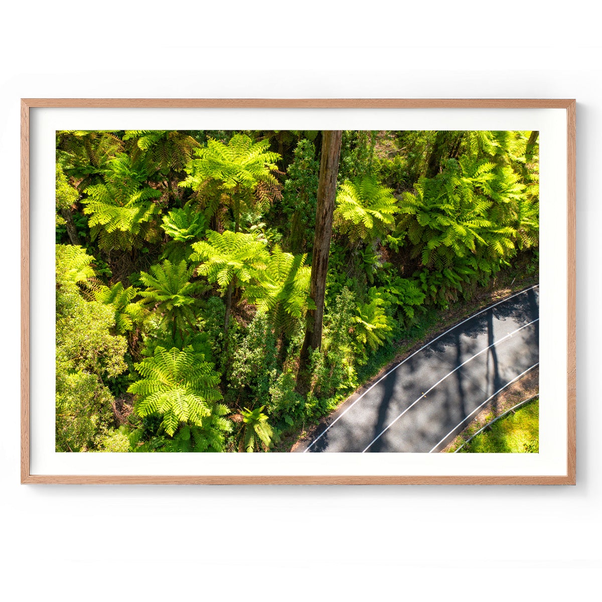 Black Spur Road #2 - Framed Print