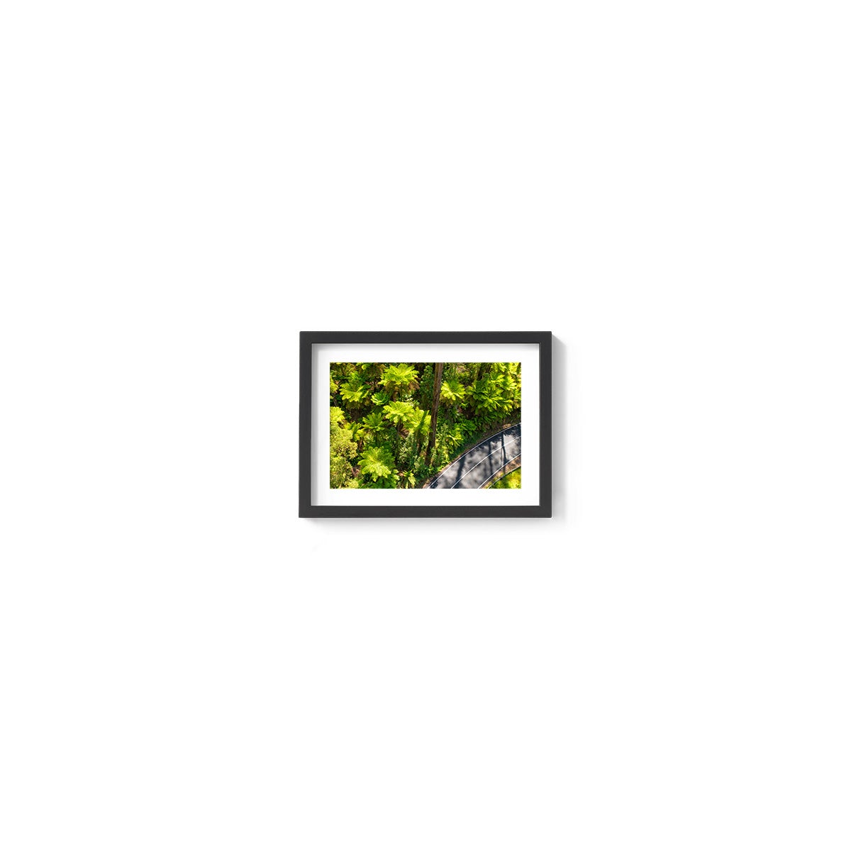 Black Spur Road #2 - Framed Print