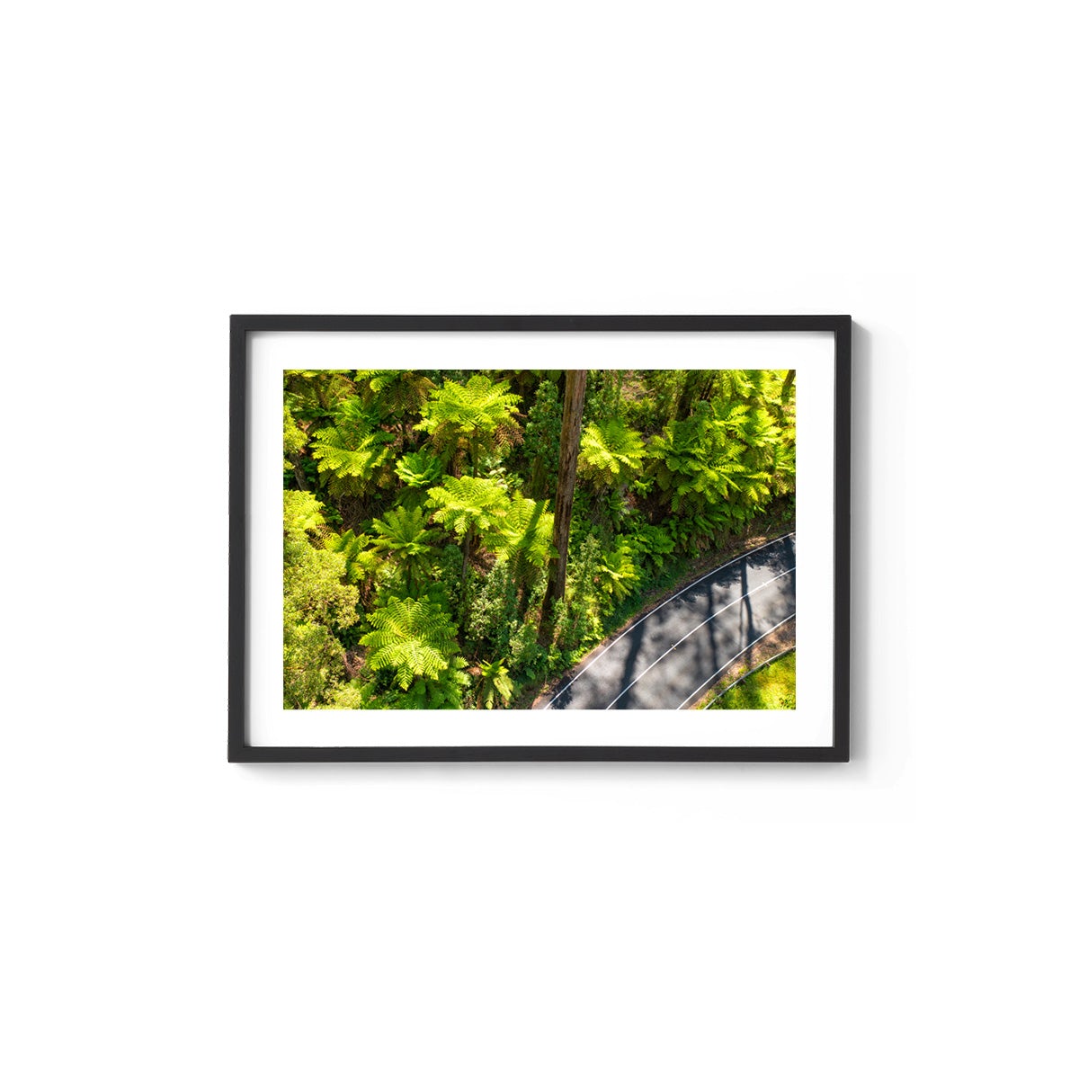 Black Spur Road #2 - Framed Print