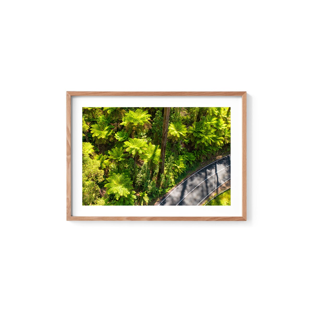 Black Spur Road #2 - Framed Print