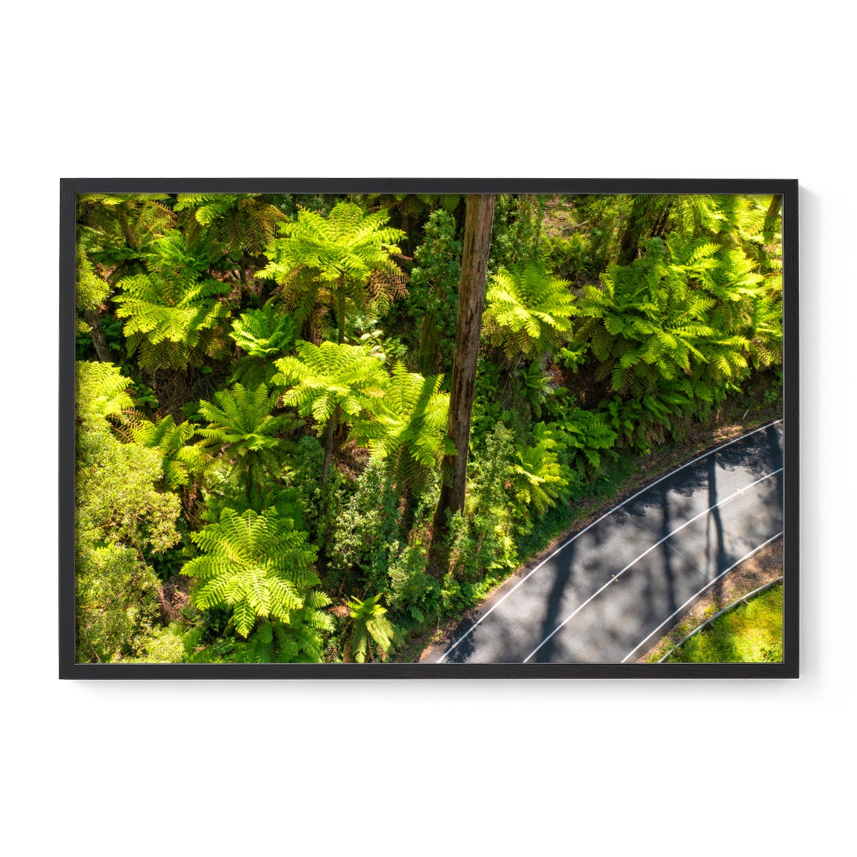 Black Spur Road #2 - Framed Print