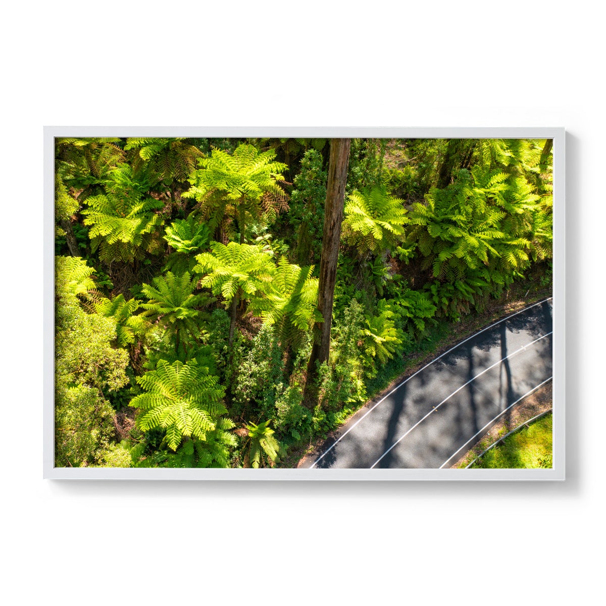 Black Spur Road #2 - Framed Print