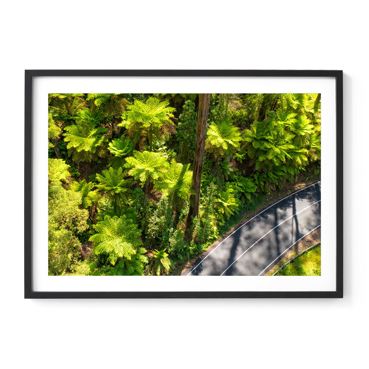 Black Spur Road #2 - Framed Print