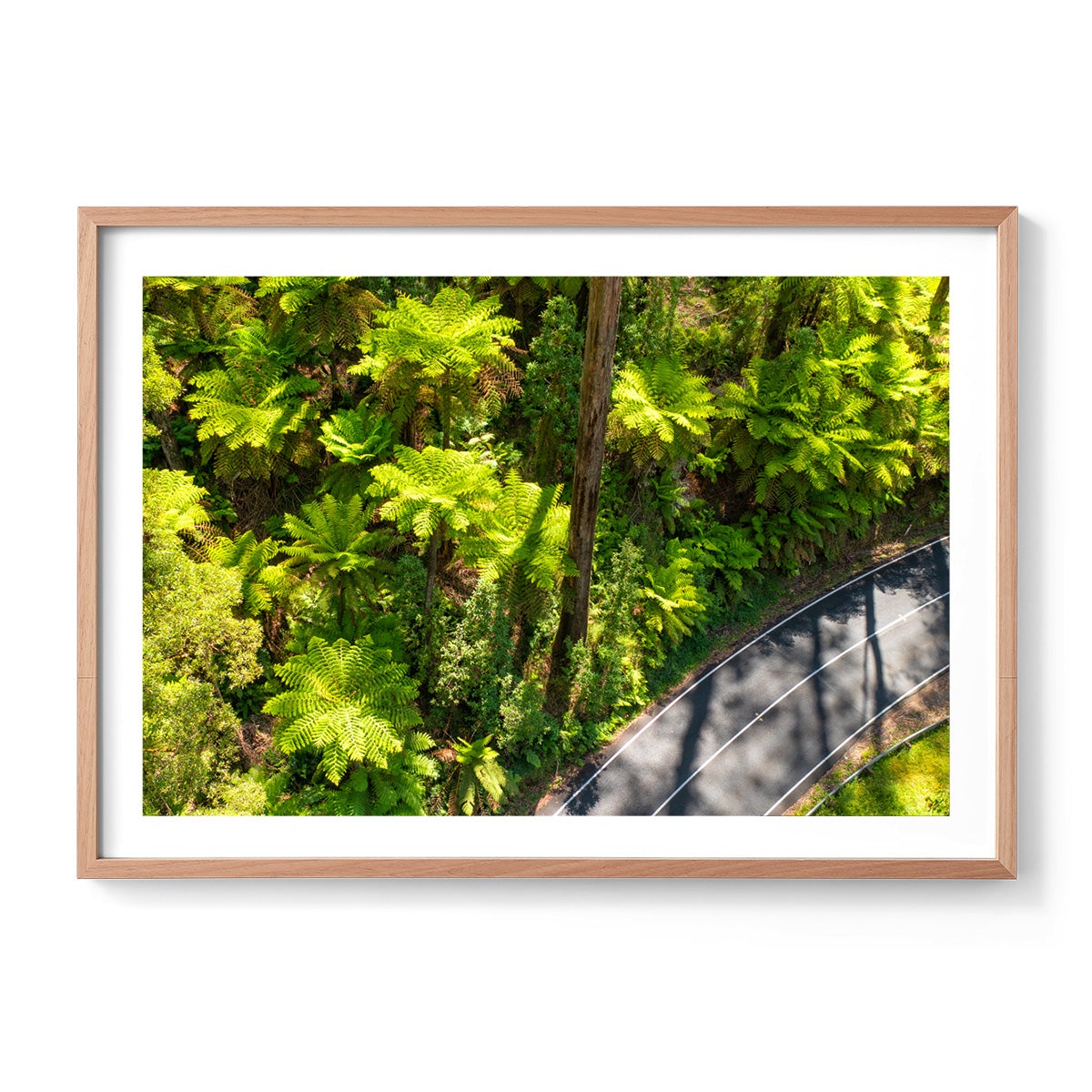 Black Spur Road #2 - Framed Print