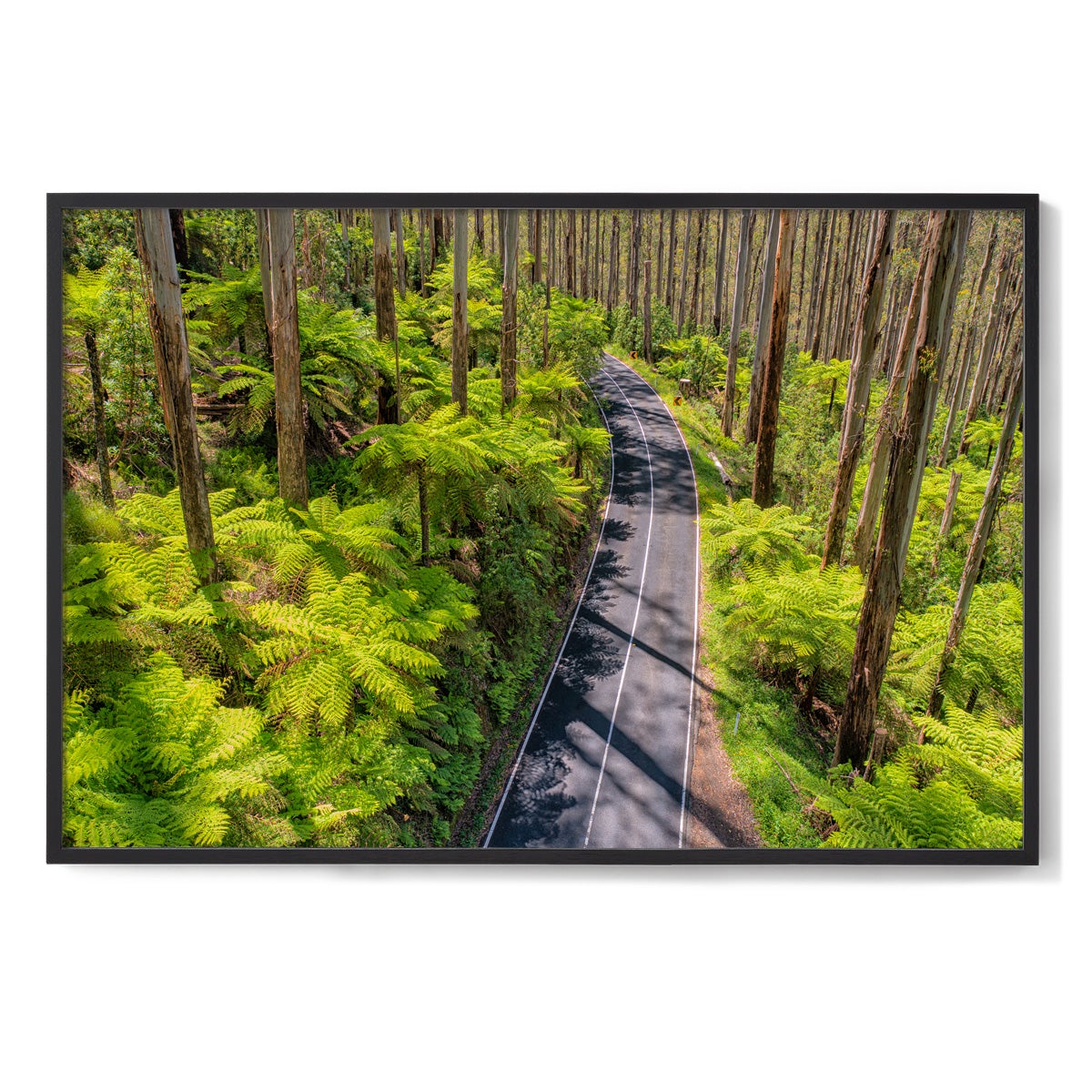 Black Spur Road #3 - Framed Print