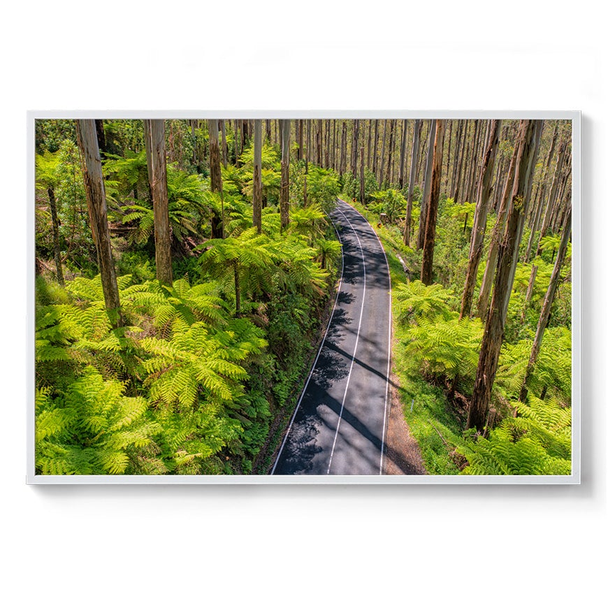 Black Spur Road #3 - Framed Print