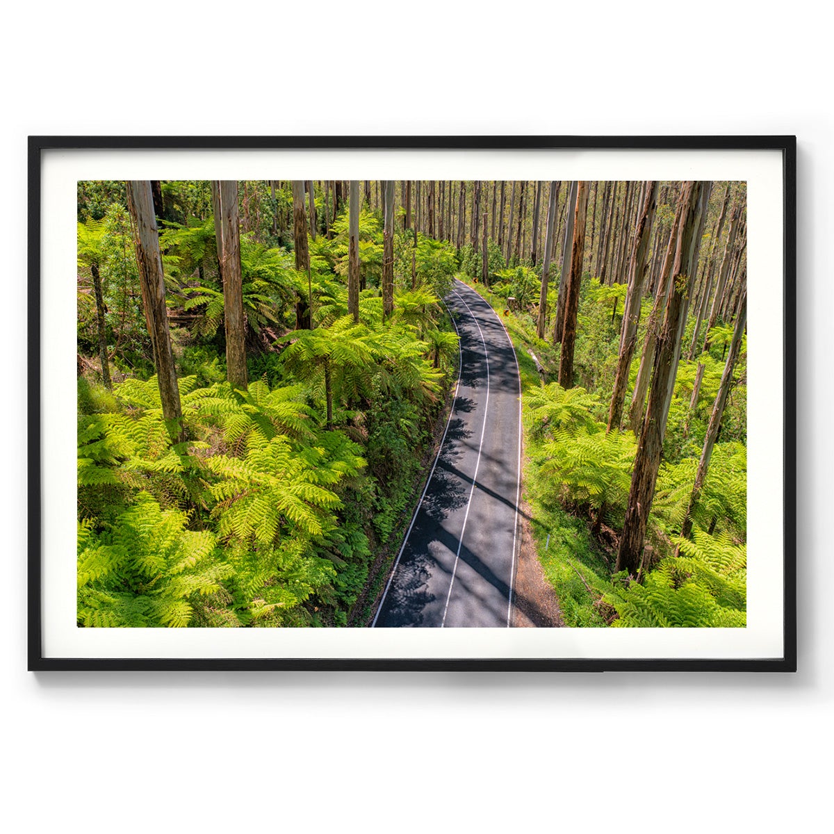 Black Spur Road #3 - Framed Print