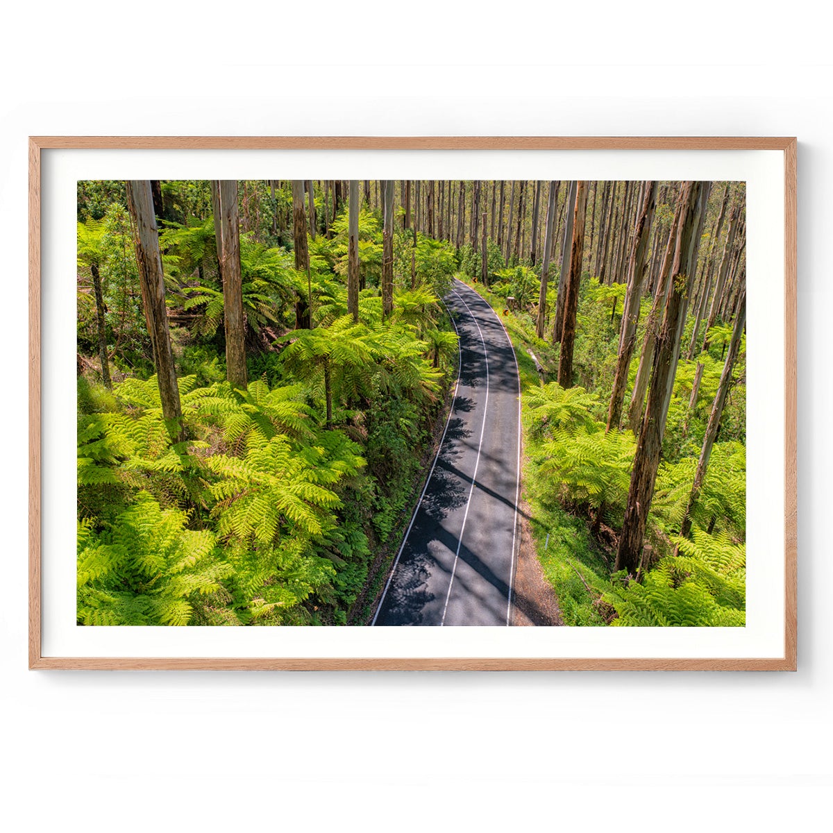 Black Spur Road #3 - Framed Print