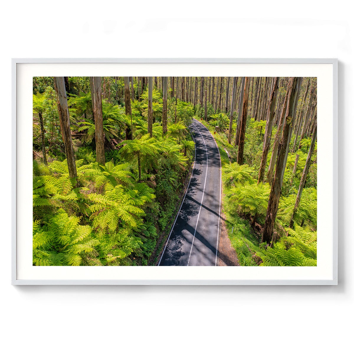 Black Spur Road #3 - Framed Print