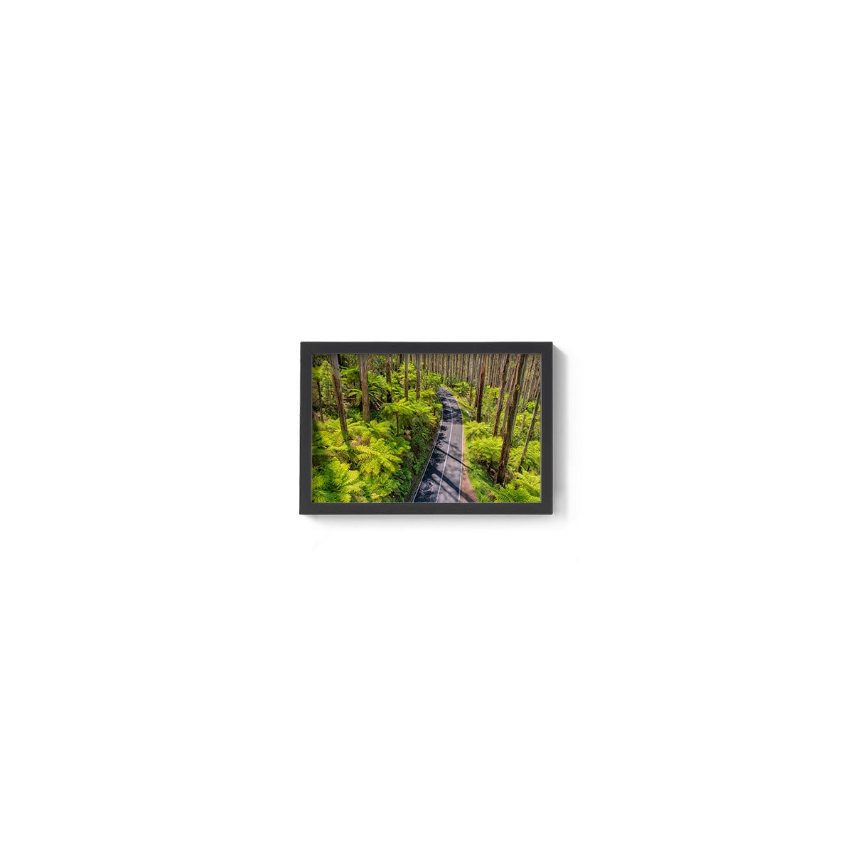 Black Spur Road #3 - Framed Print