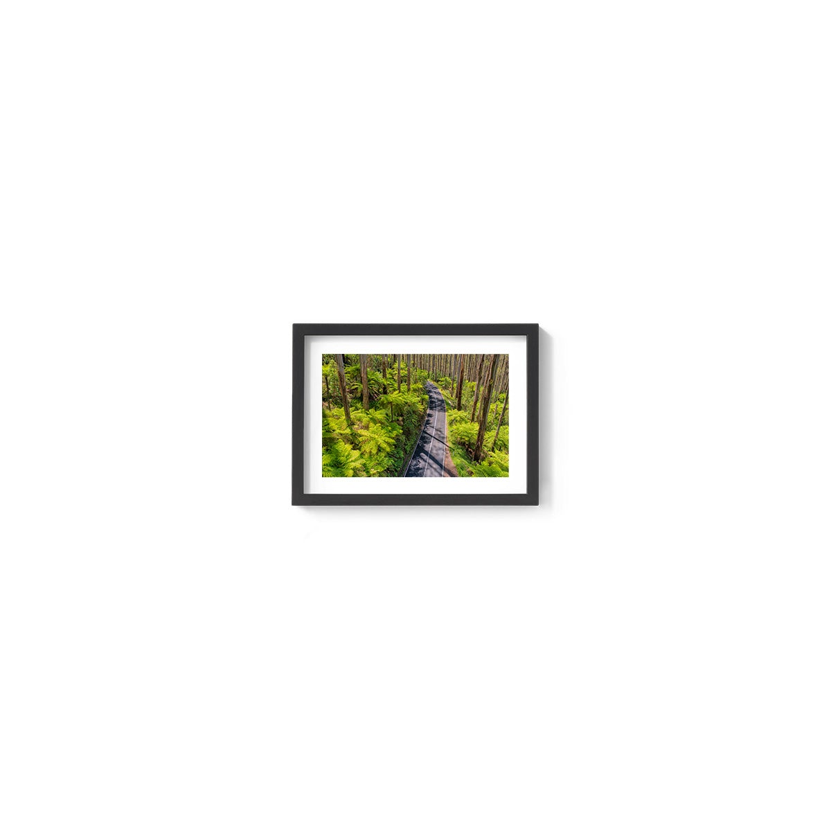 Black Spur Road #3 - Framed Print