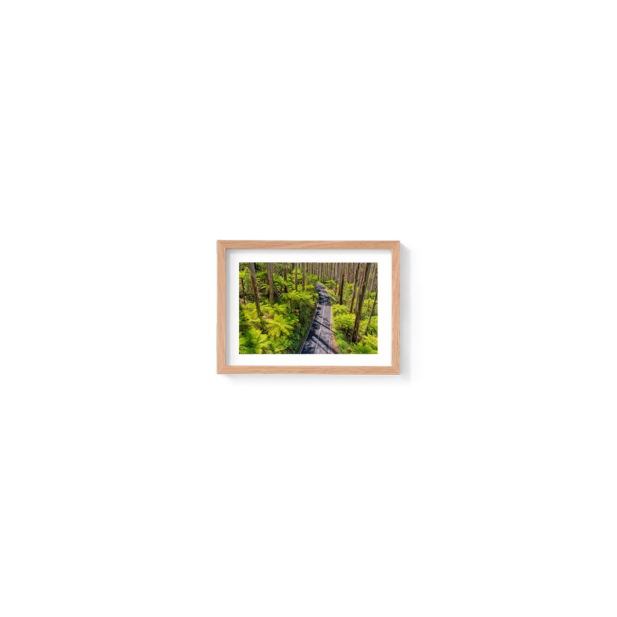 Black Spur Road #3 - Framed Print