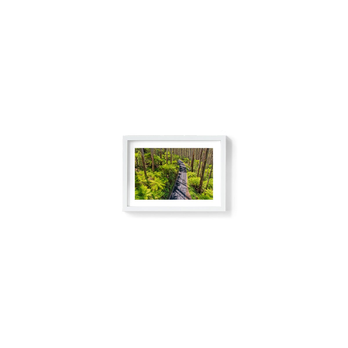 Black Spur Road #3 - Framed Print