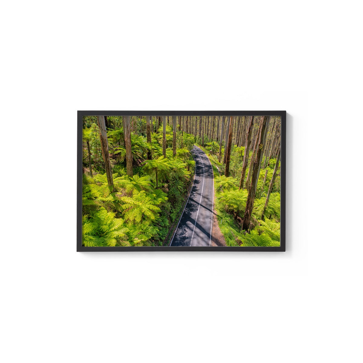 Black Spur Road #3 - Framed Print