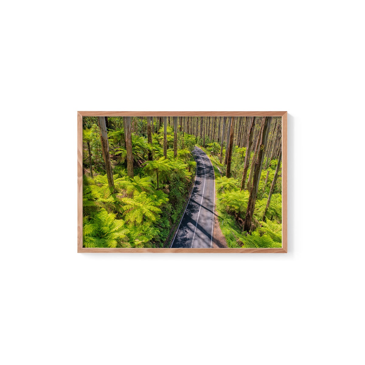 Black Spur Road #3 - Framed Print