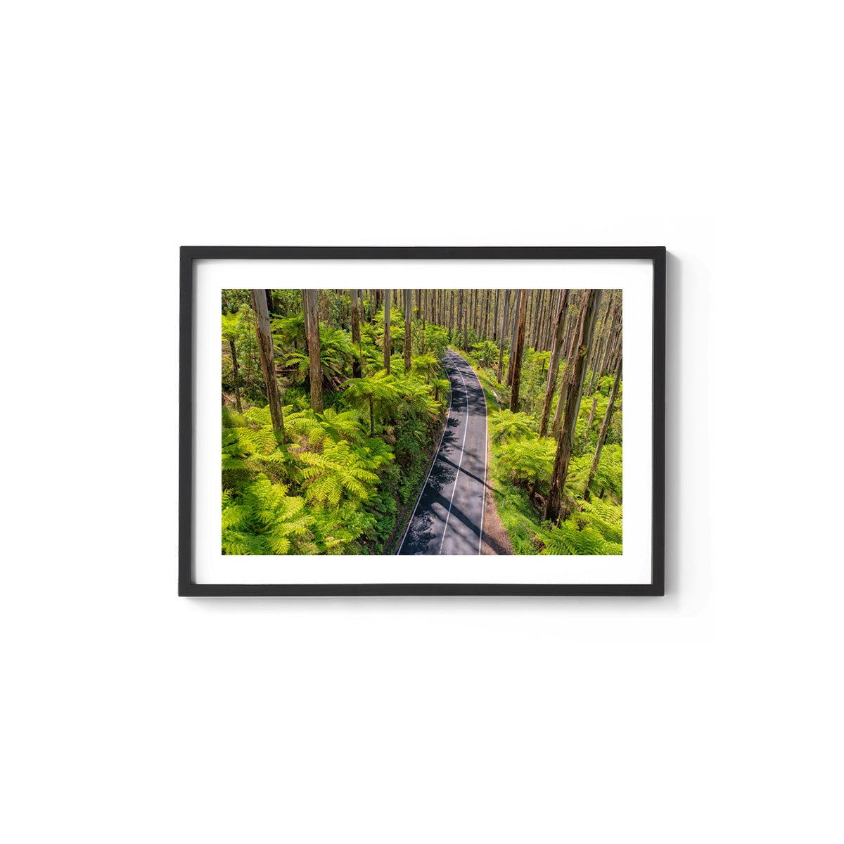 Black Spur Road #3 - Framed Print