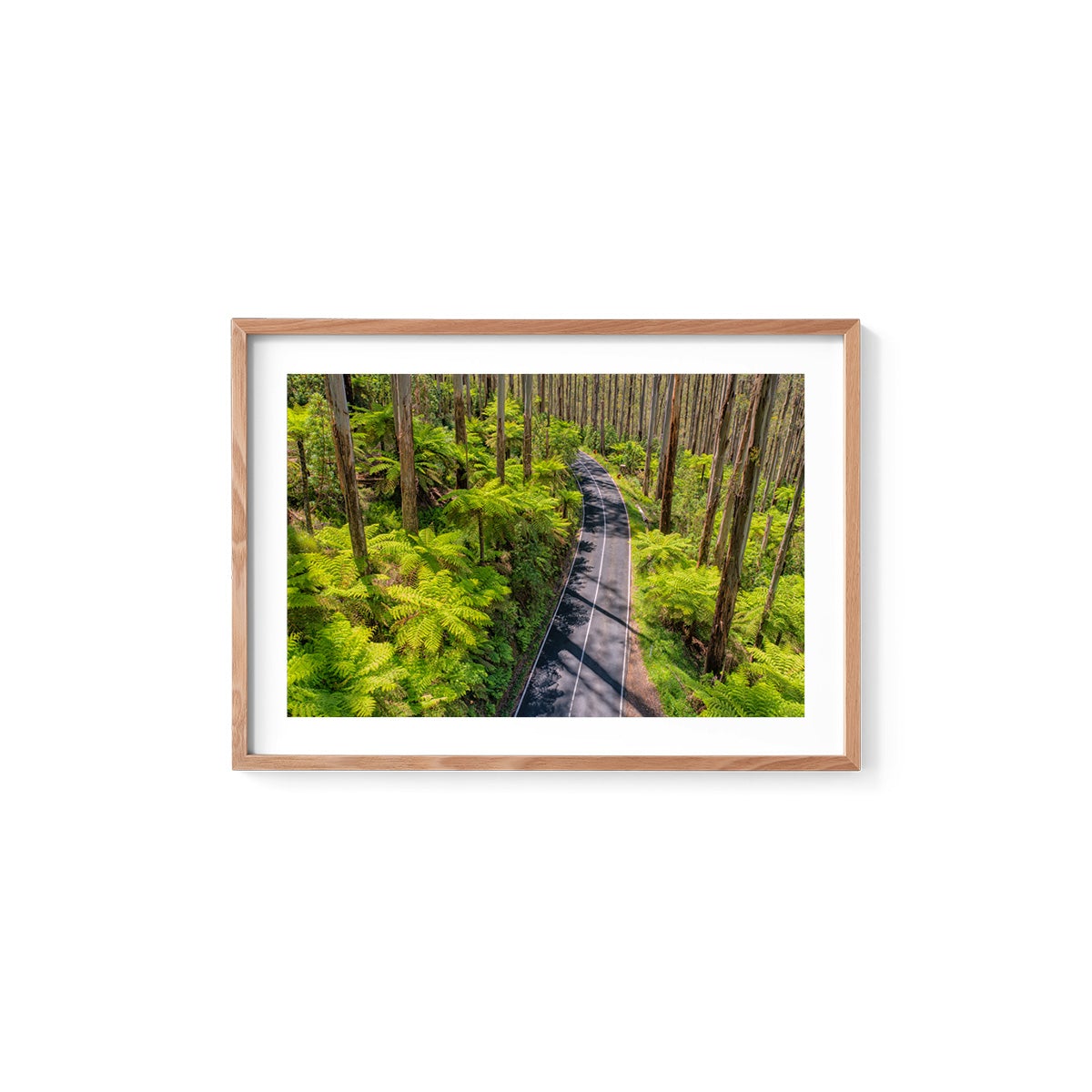 Black Spur Road #3 - Framed Print