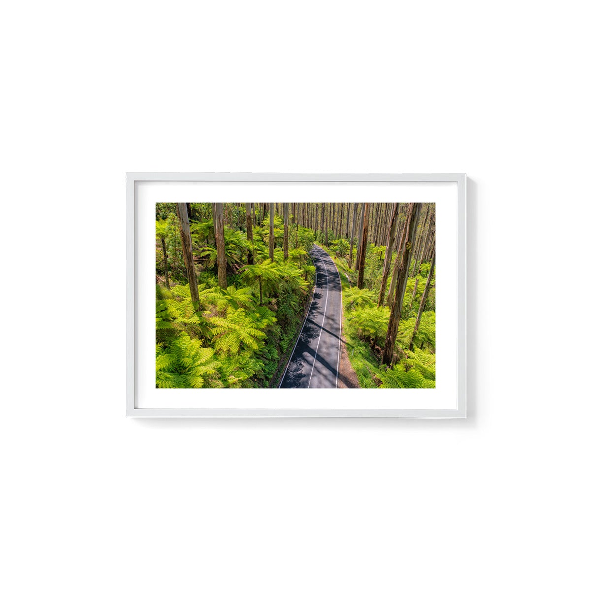 Black Spur Road #3 - Framed Print