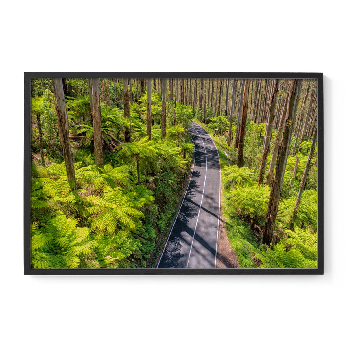 Black Spur Road #3 - Framed Print