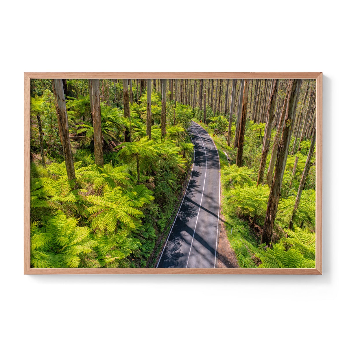 Black Spur Road #3 - Framed Print