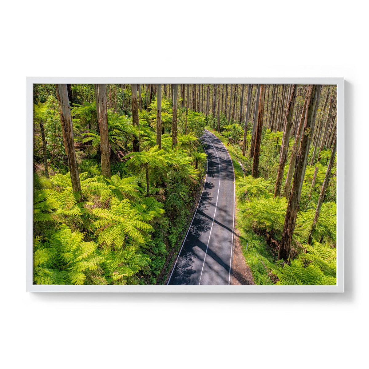 Black Spur Road #3 - Framed Print