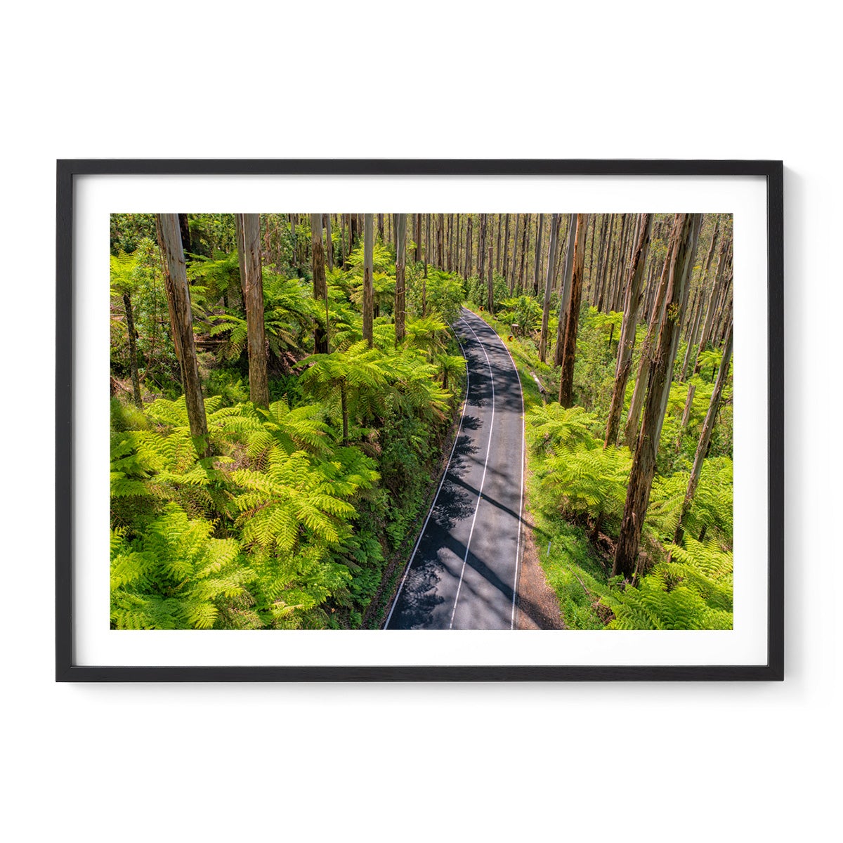 Black Spur Road #3 - Framed Print