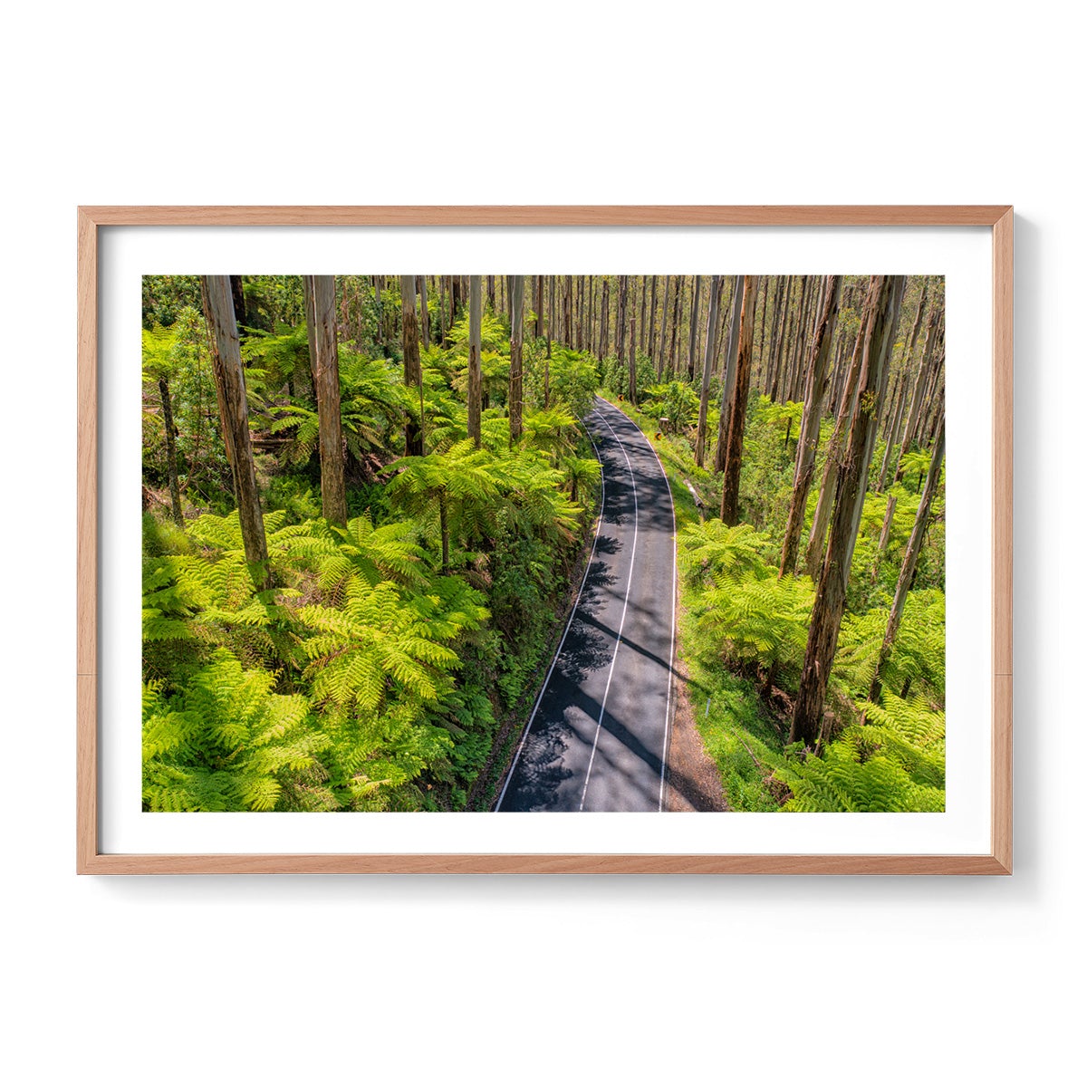 Black Spur Road #3 - Framed Print