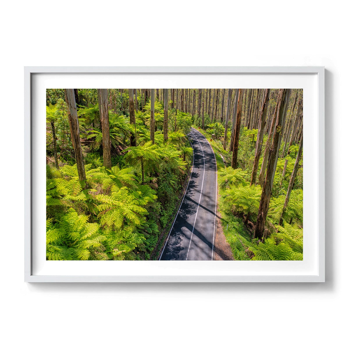 Black Spur Road #3 - Framed Print