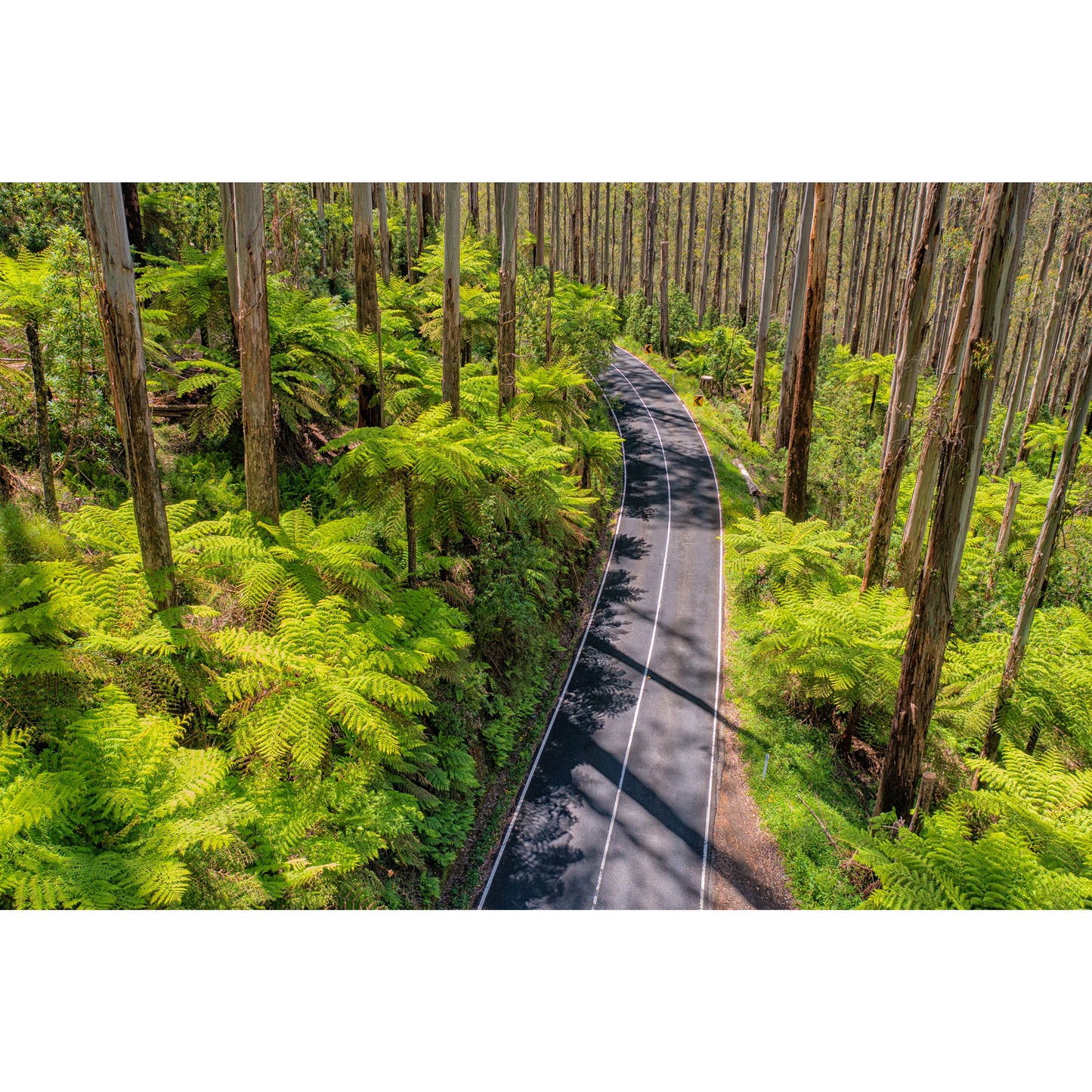 Black Spur Road #3 - Framed Print