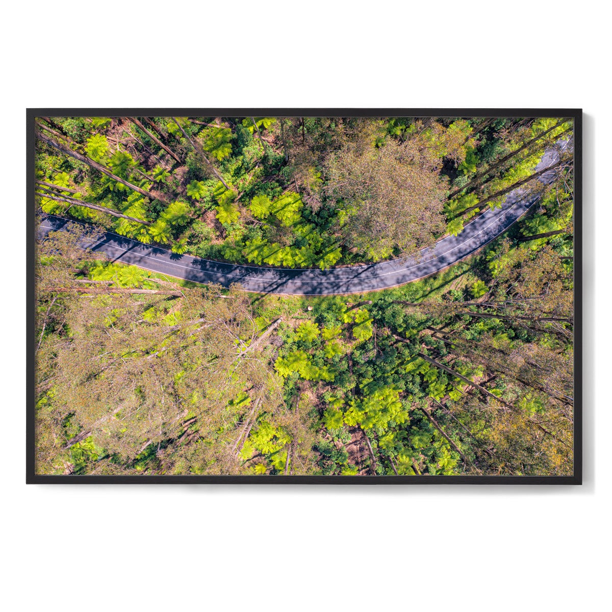 Black Spur Ribbon - Framed Print