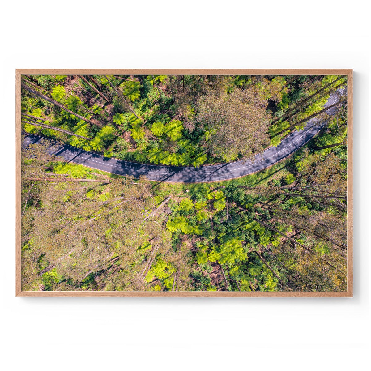 Black Spur Ribbon - Framed Print