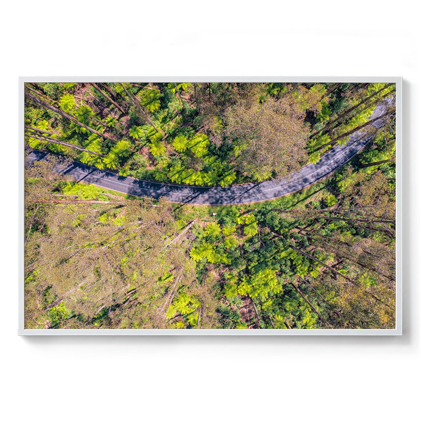 Black Spur Ribbon - Framed Print