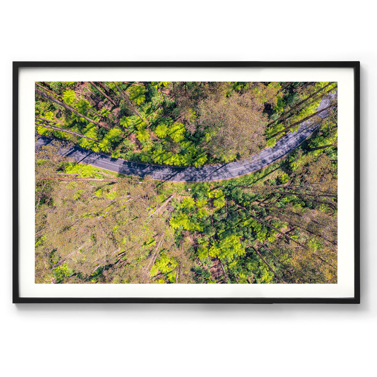 Black Spur Ribbon - Framed Print