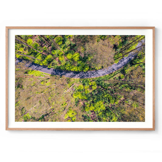 Black Spur Ribbon - Framed Print