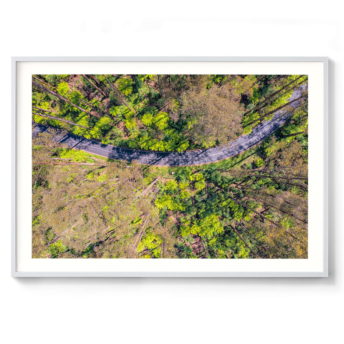 Black Spur Ribbon - Framed Print