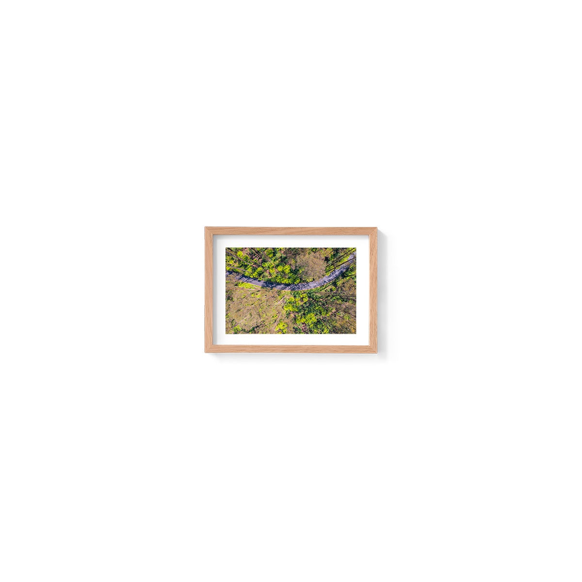 Black Spur Ribbon - Framed Print