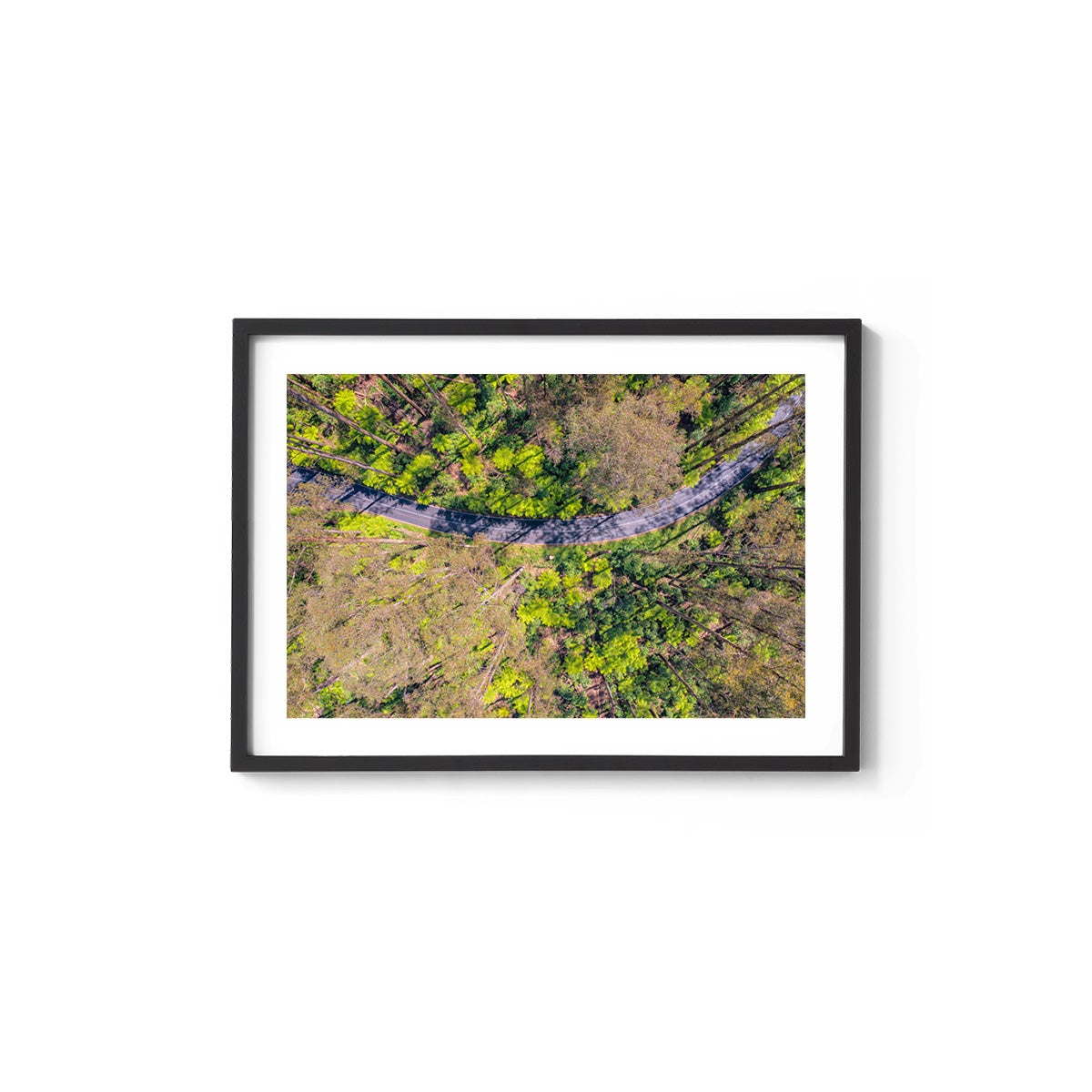 Black Spur Ribbon - Framed Print