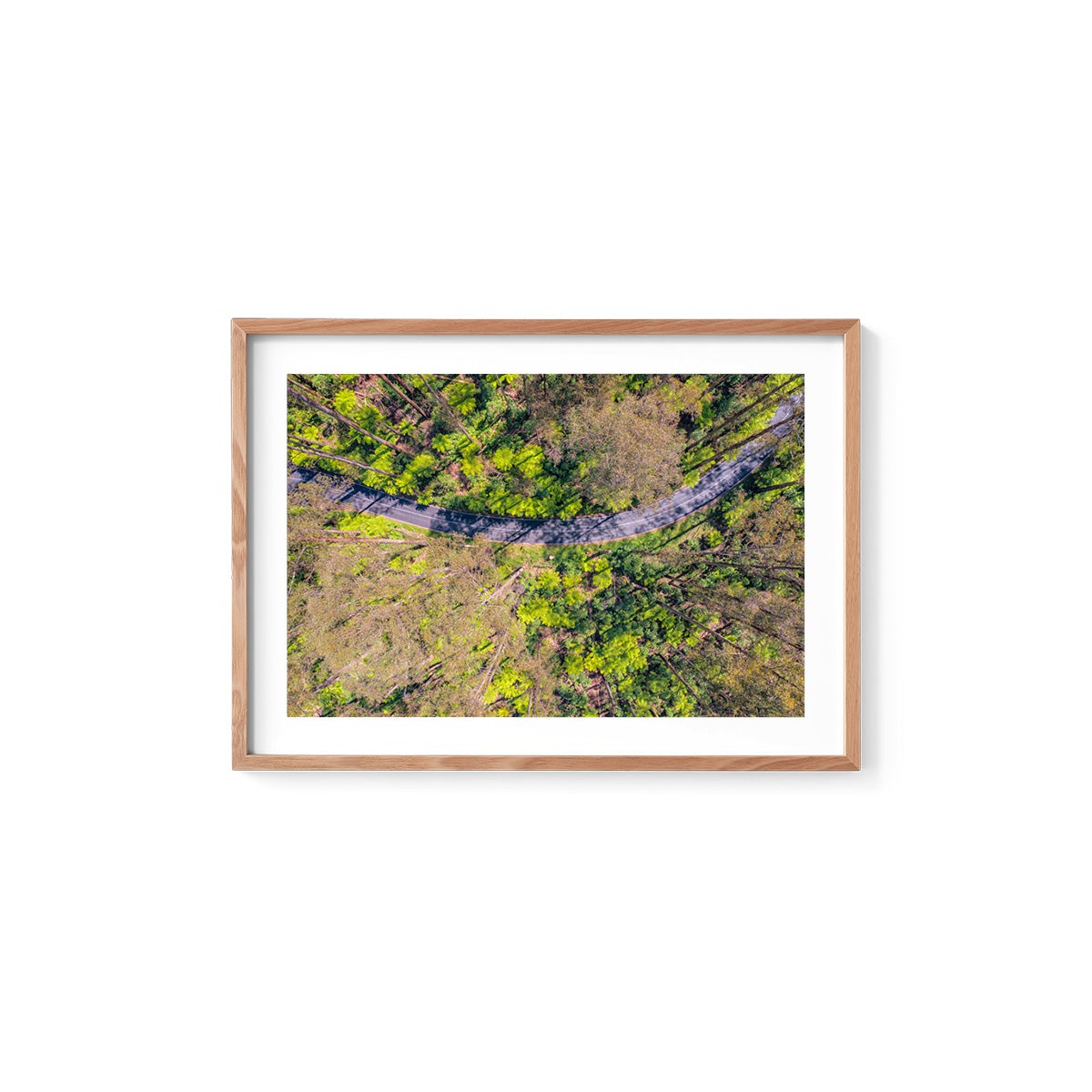 Black Spur Ribbon - Framed Print