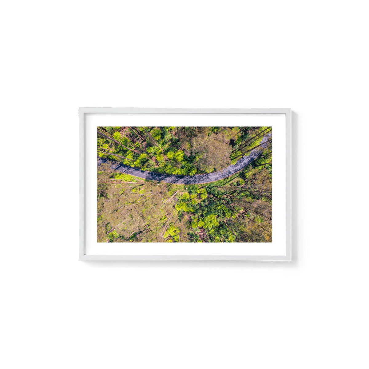 Black Spur Ribbon - Framed Print