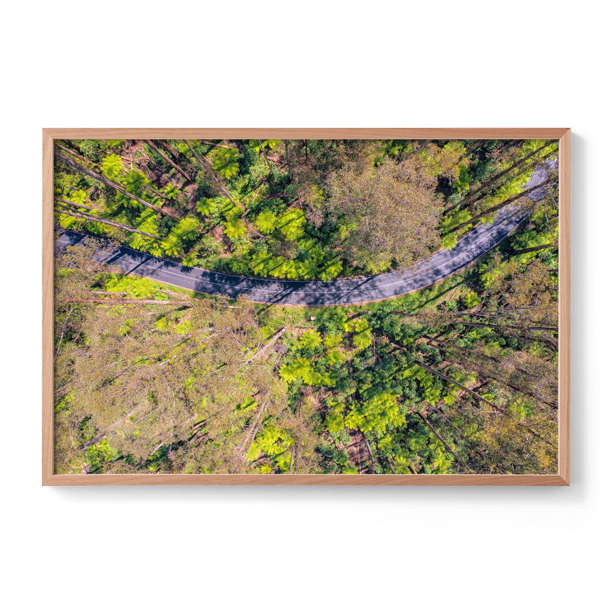 Black Spur Ribbon - Framed Print