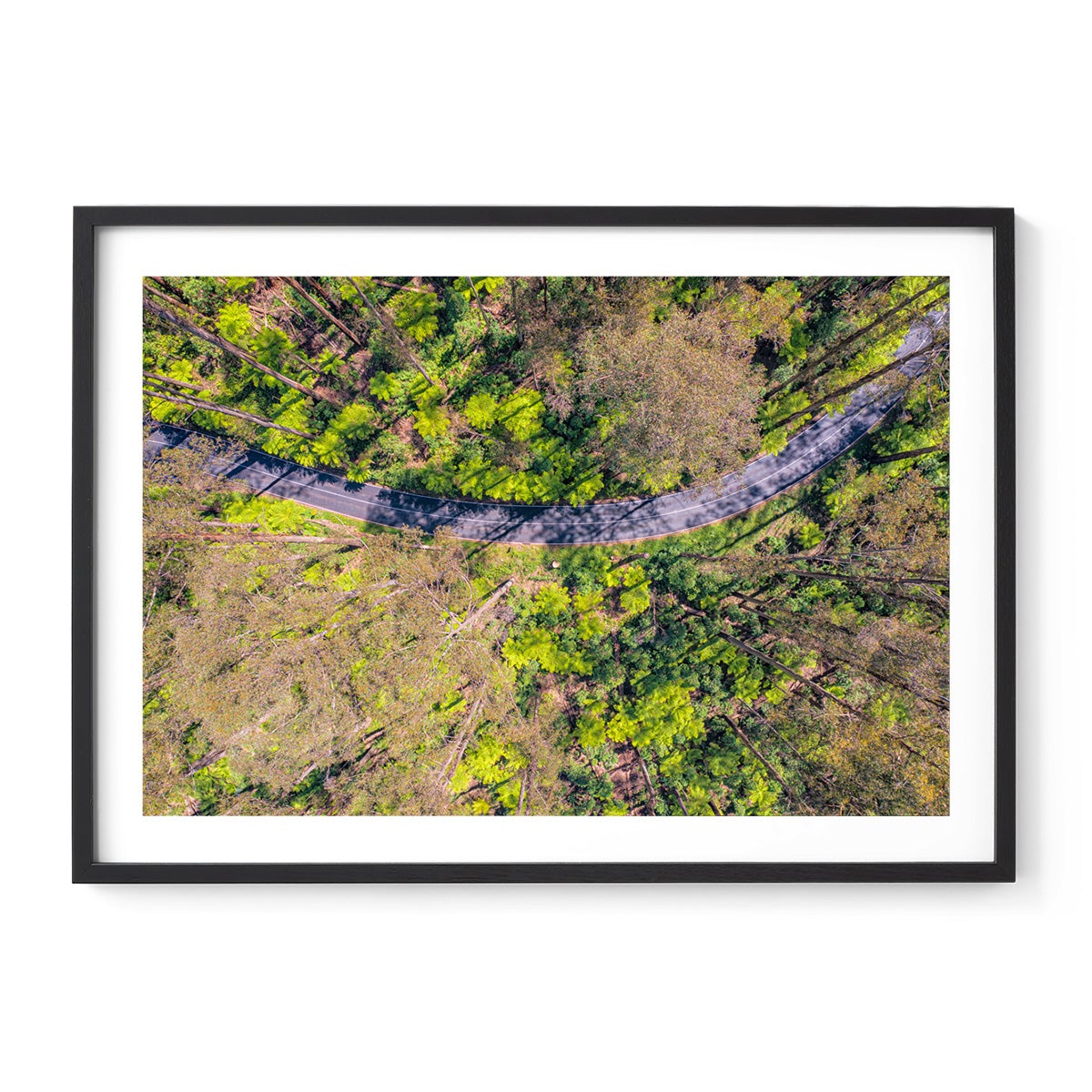 Black Spur Ribbon - Framed Print